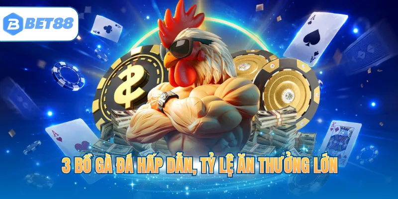 3 bồ gà đá hấp dẫn, tỷ lệ ăn thưởng lớn