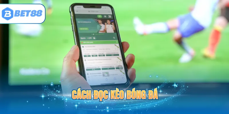 cách đọc kèo bóng đá