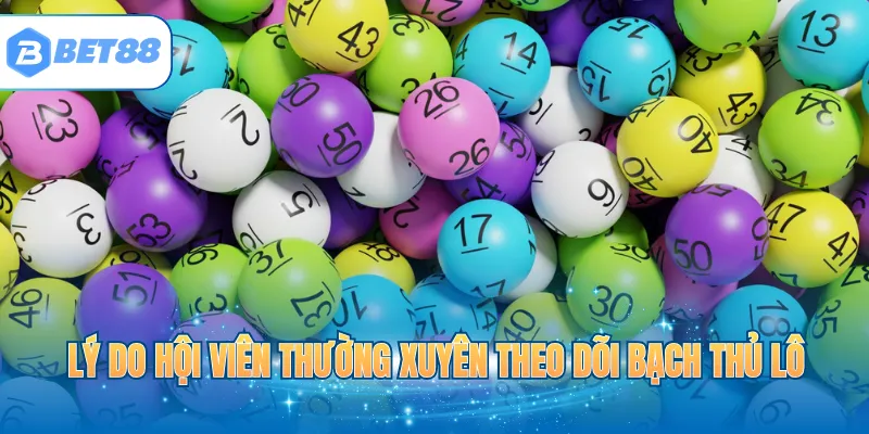 Lý do hội viên thường xuyên theo dõi bạch thủ lô