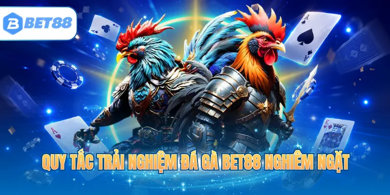 Quy tắc trải nghiệm đá gà BET88 nghiêm ngặt